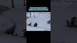 Бобэр #бобер #инфляция #крыша #упал #мем #дом #деньги