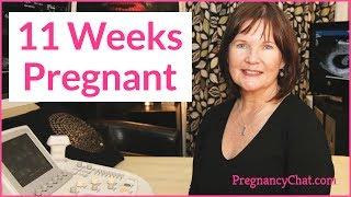 "11 Weeks Pregnant" by PregnancyChat.com @PregChat