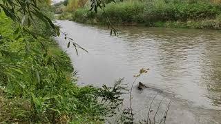 г.Георгиевск. Наше  старое городское озеро, убитое властями города.