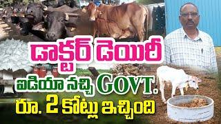 ఈ డెయిరీలో మేటి ఆడ దూడలే పుడతాయి | BMF | Seshaphani