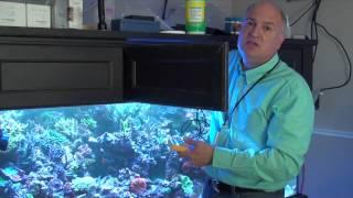 Reef Tank Lighting Fundamentals with Mike Paletta - ReefKeeping Video Podcast by AmericanReef