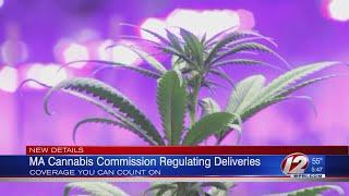 Amid vaping ban, Mass. Cannabis Control Commission approves marijuana home delivery