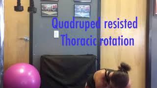 Resisted thoracic rotation progression from easiest to hardest!