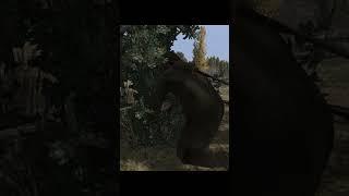 John Marston-Flower Picker