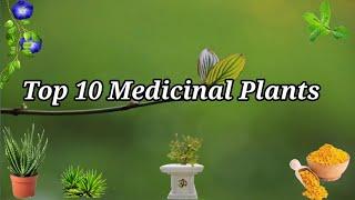 Top 10 medicinal plants and their uses | औषधीय पौधे | medicinal plants | Ayurvedic plants | herbal