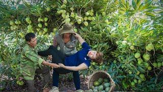 Free New Life Harvesting Mango Garden Go to Market to Sell - Bad Day For Father & Daughter