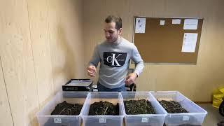 Осмотр монолитов озимой пшеницы (промежуточный). АгроБатл1Тур