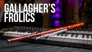 Gallagher's Frolics (Jig) Tin Whistle Lesson