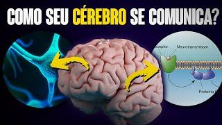 COMO O CÉREBRO PROCESSA INFORMAÇÕES? ENTENDA A NEUROTRANSMISSÃO