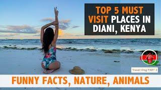 Top 5 must visit places in Diani Beach Kenya | Funny Facts about Kenya | Africa Travel vlog guide |