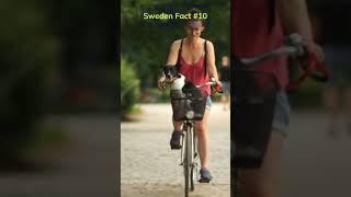 Dogs on bike!  #bycicle #bike #dogonbike #swedendog #dogs #doglovers