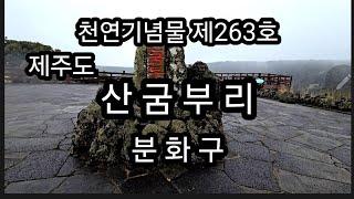 산굼부리,제주도 여행,삼구부리 분화구,천연기념물 제263호,