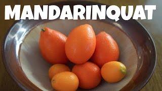 MANDARINQUAT & KUMQUAT Taste Test  | Fruity Fruits