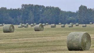 Last of the Hay for 2024