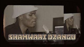 Hasso king boys_Shamwari dzangu ( Studio session)