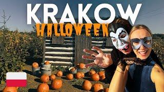 HALLOWEEN in Krakow 2024 Our Hidden Gems You Never Knew Existed!