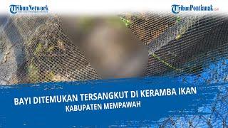 Bayi Ditemukan Tersangkut di Keramba Ikan, Mempawah