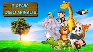 ANIMALI PER BAMBINI | IL REGNO DEGLI ANIMALI 5 | nomi, caratteristiche e suoni reali degli animali