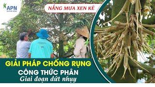 APN - GIẢI PHÁP CHỐNG RỤNG VÀ CÔNG THỨC PHÂN GIAI ĐOẠN DỨT NHỤY