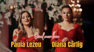 Diana Cârlig si Paula Lezeu - Omul meu bun ( videoclip oficial )