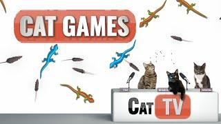 CAT Games TV | Larry the Lizard and Randy the Redneck Rat Compilation Mash Up | Videos For Cats | 