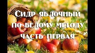 Газированный домашний сидр из яблок: 1 часть рецепта (постановка сусла на брожение)