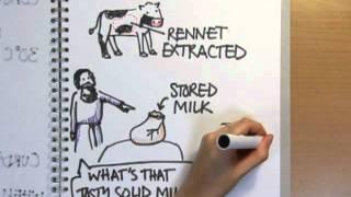 How is cheese made? - Naked Science Scrapbook