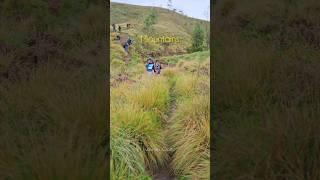 Mountain life is sowhewhat emotional ️‍️ #nature #travel #trekking #munnar #meesapulimala #love