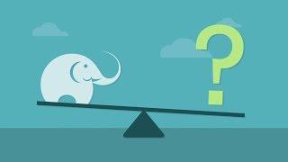 How much should an elephant weigh?
