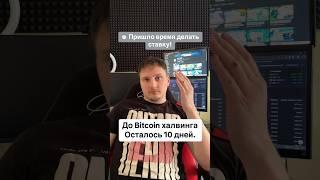 Куда пойдет биткоин во время халвинга? #криптовалюта #bitcoin