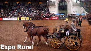 308 136° Exposición Rural de Palermo (Bs As) - Estancias y Tradiciones