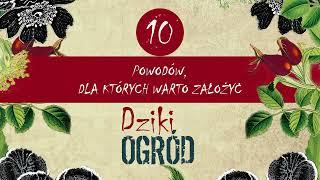 Łukasz Łuczaj przedstawia 10 powodów dla których warto założyć "DZIKI OGRÓD"