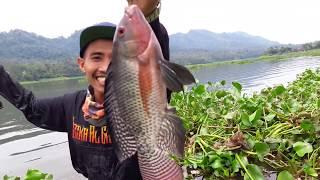 Cara Unik Mancing Ikan Nila Lihat Hasilnya !!