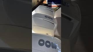 2022 Sea Ray Sundancer 370 Outboard | MarineMax Yachts in Naples, FL #shorts #searay #marinemax