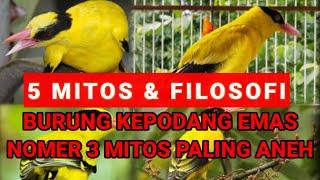 Mitos dan filosofi burung kepodang emas yang bikin kagum