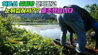 어르신 살림망 조과 문자받고 눈뒤집혀서?? 바로 출조 했습니다!! 마름밭 붕어낚시