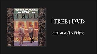 [プロモーション]「TREE」DVD / CHAGE and ASKA / 2020年8月5日発売