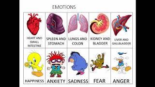 Centre of Balance TCM Organs Theory