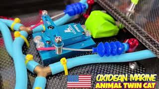 BEST RTR Rc Boat for 2025! Animal Twin Cat Oxidean Marine!