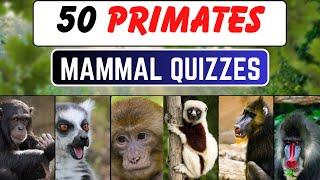 50 Primates Mammal Quizzes || Guess in 10 Sec Each Quiz