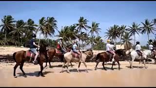 Punta Cana Beach Borse Back Ride