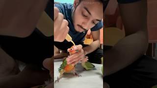 Birds hand feeding problem  birds hand feeding #birds #handfeed #minivlog #shortsfeed