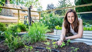 Why you should grow WEEDS with your veggies