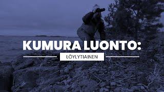 Kumura luonto: Löylytiainen