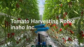 inaho Inc. | Autonomous Tomato Harvesting Robot ver2