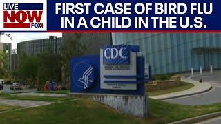 First bird flu case in a child in the US, CDC confirms | LiveNOW from FOX