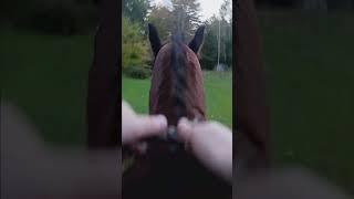 Little ride on meh pony