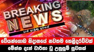 breaking news|election prediction srilanka news|hiru news|political news|hiru tv live|news 1st