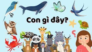 Con gì đây? Tổng hợp cách dạy bé gọi 50 con vật quen thuộc trong tiếng Anh và tiếng Việt.