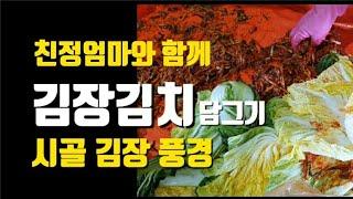 [김장김치] 김장김치 꿀팁 3가지 | 배추 쉽게 절이기 | 김치속 쉽게 만들기